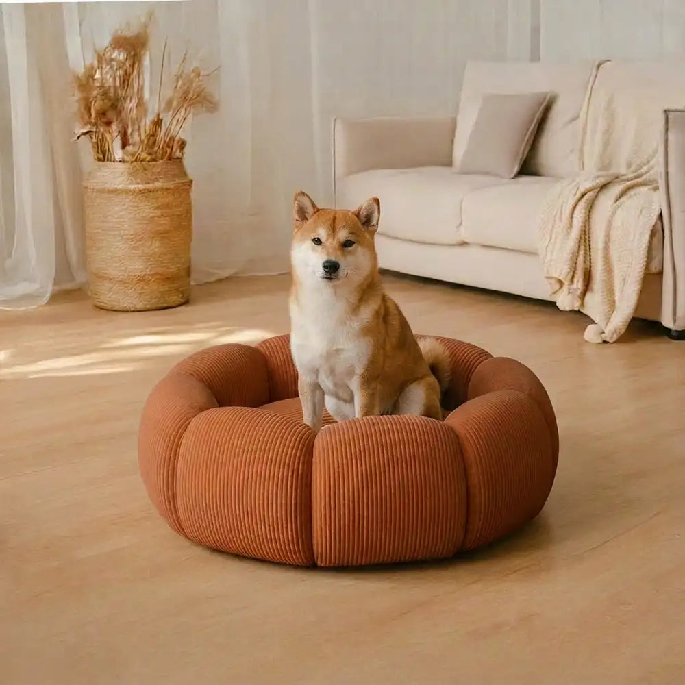 Lit rond pour chat et chien avec support de cou doux et lavable.