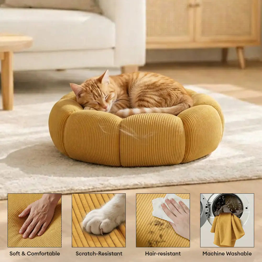 Lit rond pour chat et chien avec support de cou doux et lavable.