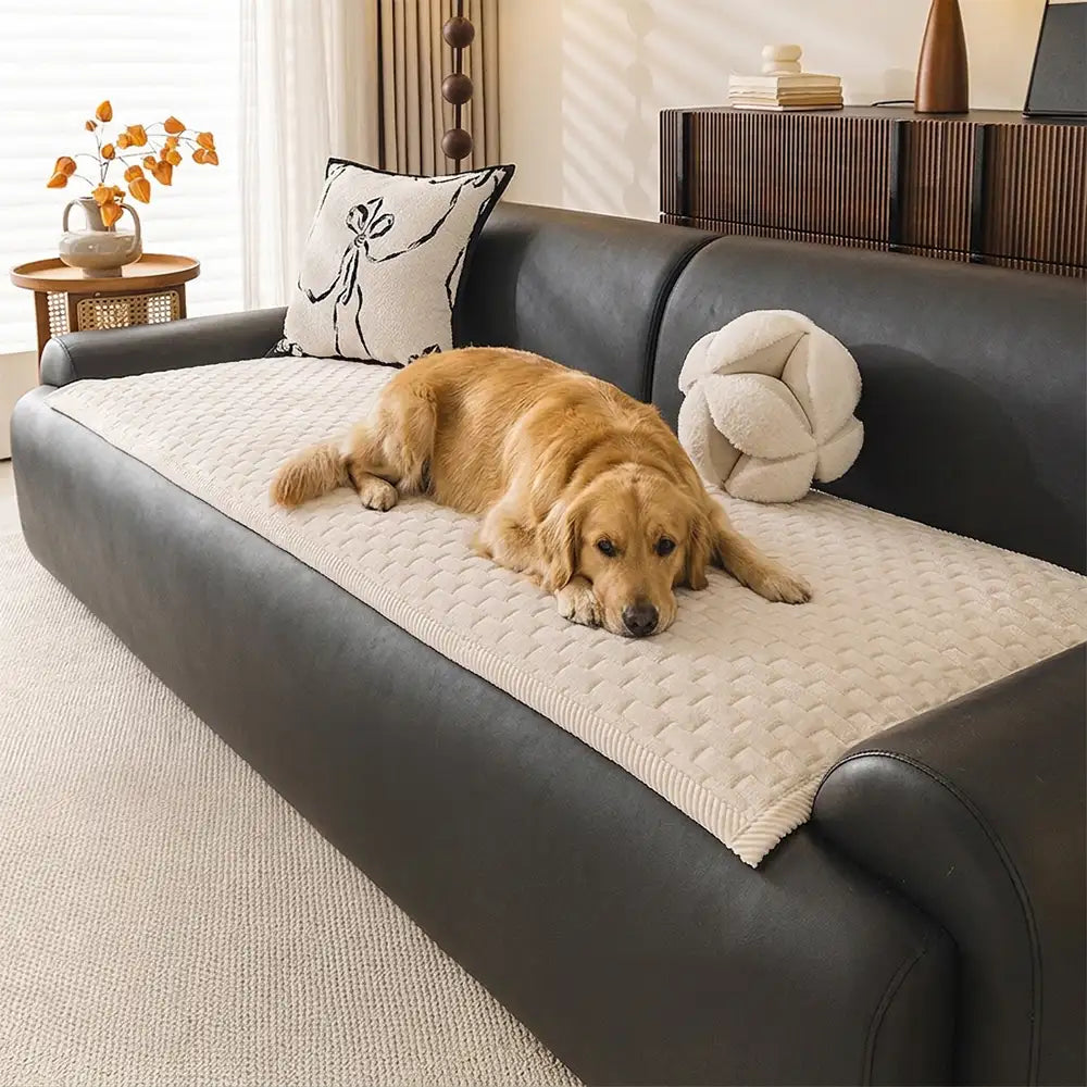 Tapis pour animaux en peluche douce, résistant aux griffures, housse de canapé antidérapante