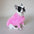 Pull à col roulé en tricot doux et moelleux pour chien