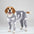 Pyjama doux et confortable pour chien motif lune et étoiles parfait pour un confort toute l'année