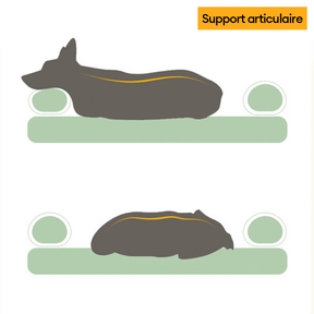 Lit orthopédique lavable pour chien et chat spacieux confortable et durable