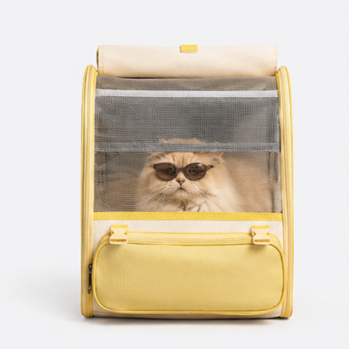 Sac à dos transporteur pour chat spacieux et léger avec fenêtre transparente