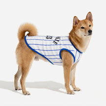 Gilet de chien respirant au style sportif pour chiot