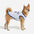 Gilet de chien respirant au style sportif pour chiot