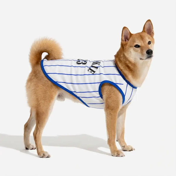 Gilet de chien respirant au style sportif pour chiot