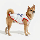 Gilet de chien respirant au style sportif pour chiot