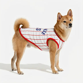 Gilet de chien respirant au style sportif pour chiot