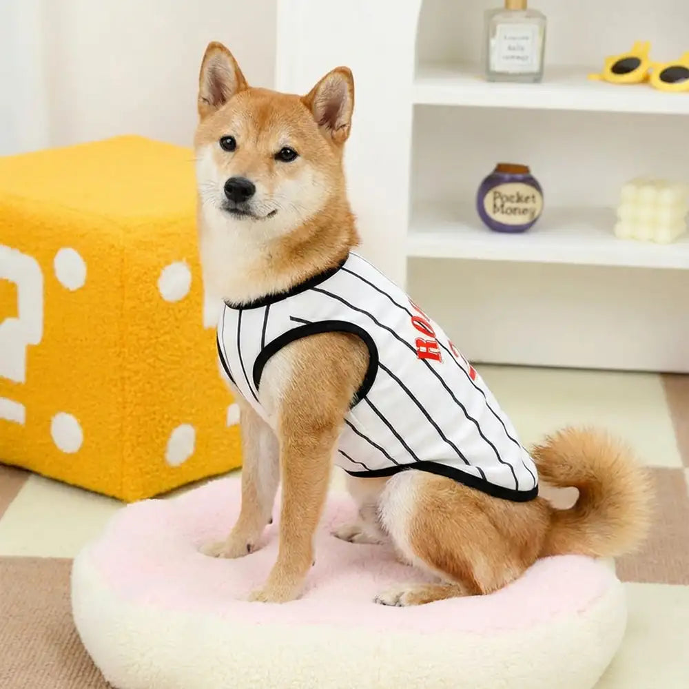 Gilet de chien respirant au style sportif pour chiot