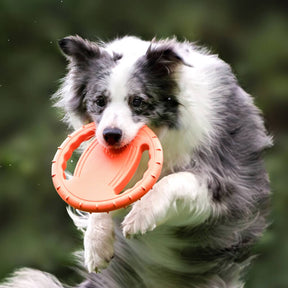 Disque Volant Interactif en Caoutchouc pour Chien avec Poignée