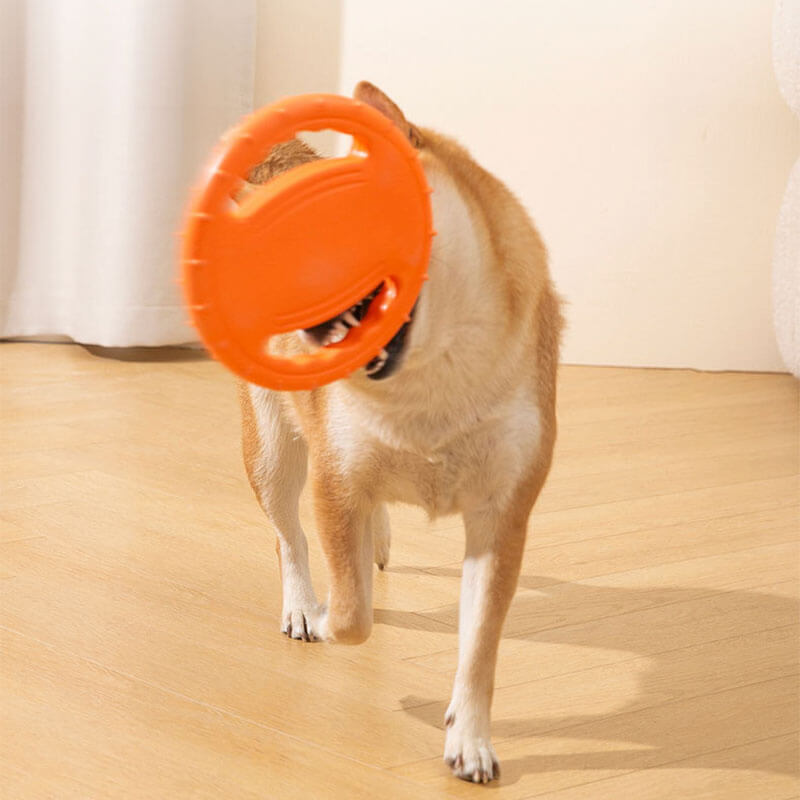 Disque Volant Interactif en Caoutchouc pour Chien avec Poignée