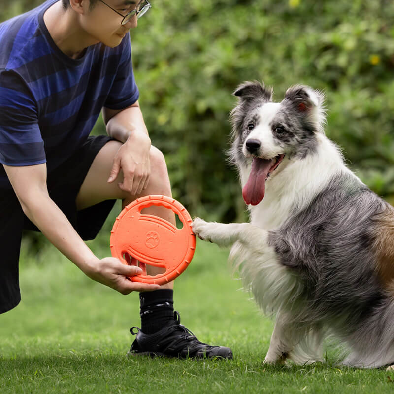 Disque Volant Interactif en Caoutchouc pour Chien avec Poignée