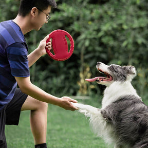 Disque Volant Interactif en Caoutchouc pour Chien avec Poignée