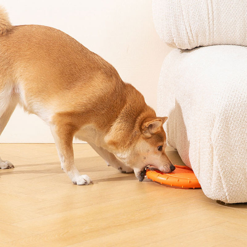 Disque Volant Interactif en Caoutchouc pour Chien avec Poignée