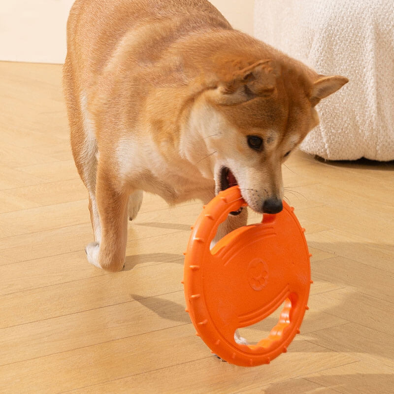 Disque Volant Interactif en Caoutchouc pour Chien avec Poignée