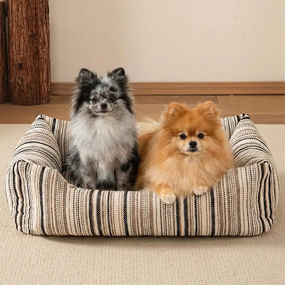 Painer pour chien en chenille rayée, résistant aux griffures et respirant, avec support pour le cou.