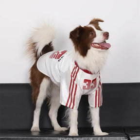 T-shirt pour chien rétro réfléchissant rayé pour toutes les races