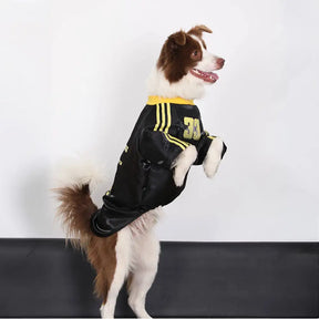 T-shirt pour chien rétro réfléchissant rayé pour toutes les races