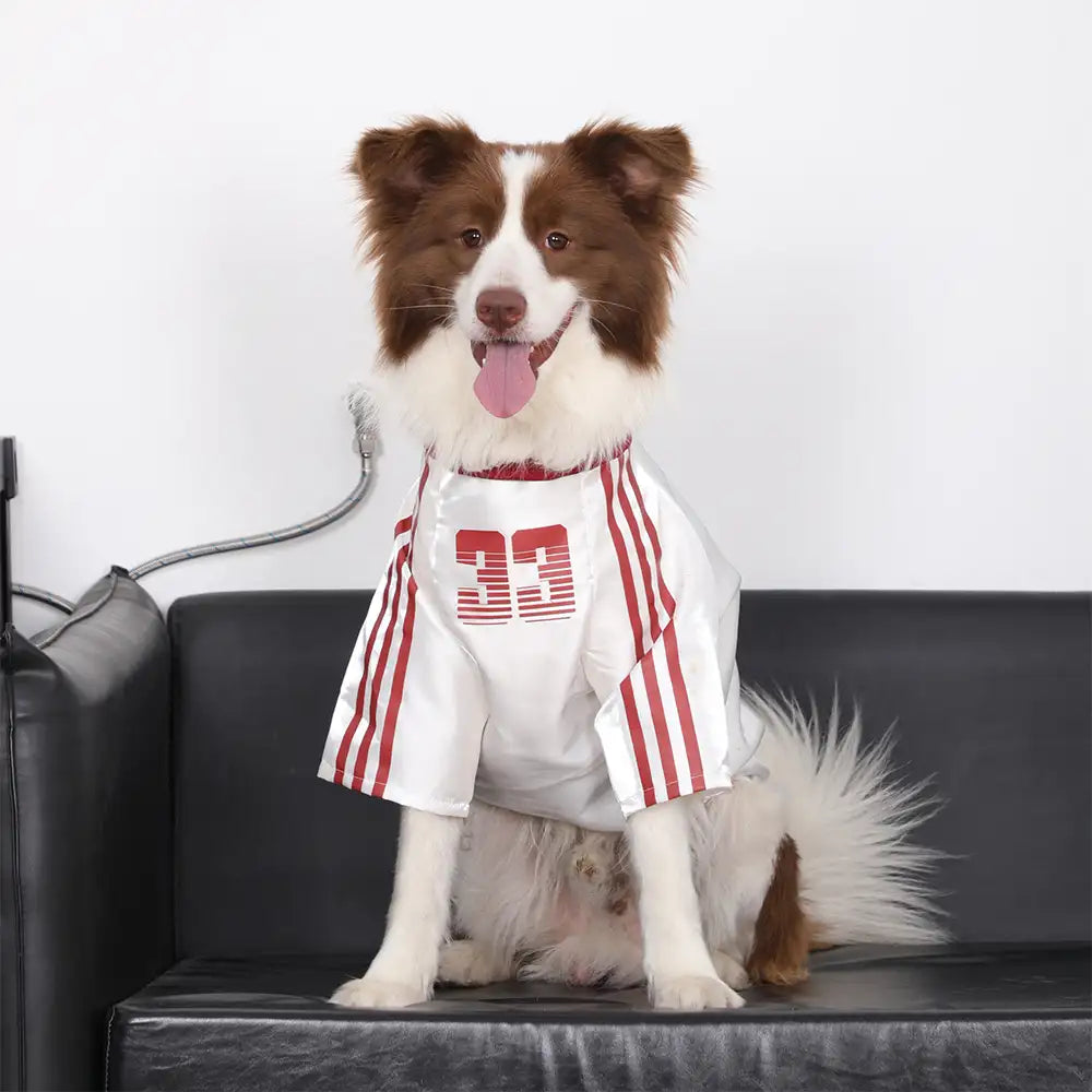 T-shirt pour chien rétro réfléchissant rayé pour toutes les races