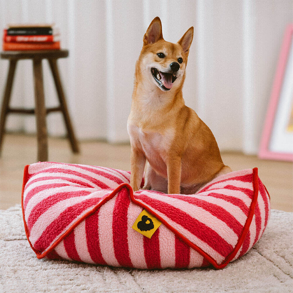 Fauteuil pour Animaux en Forme de Haricot à Motif Rayé Tendance