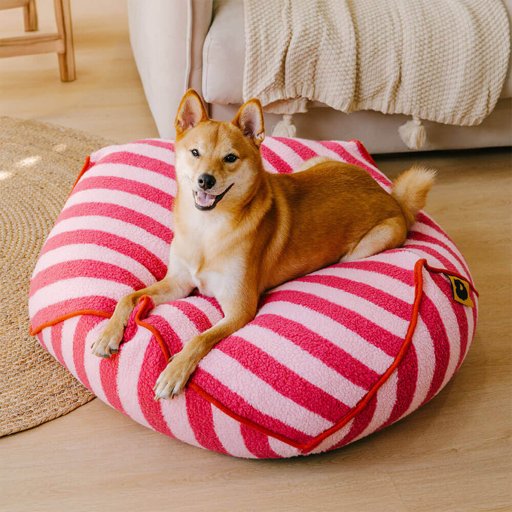 Fauteuil pour Animaux en Forme de Haricot à Motif Rayé Tendance