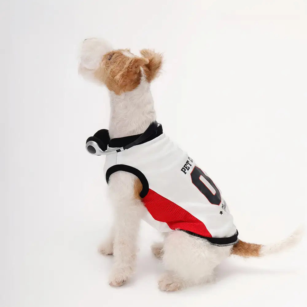 Gilet pour chien respirant à blocs de couleurs élégants