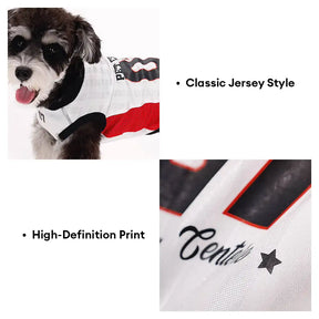 Gilet pour chien respirant à blocs de couleurs élégants