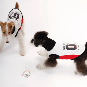 Gilet pour chien respirant à blocs de couleurs élégants