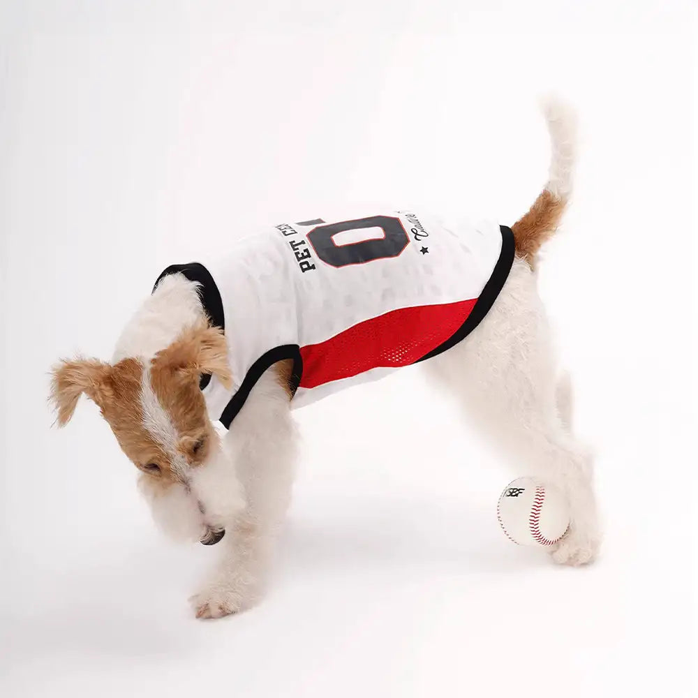 Gilet pour chien respirant à blocs de couleurs élégants