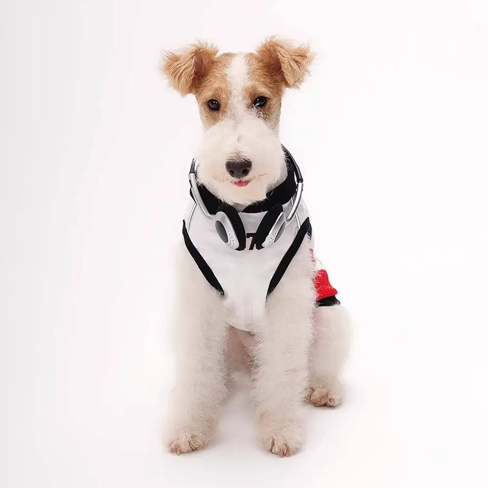 Gilet pour chien respirant à blocs de couleurs élégants