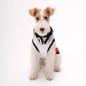 Gilet pour chien respirant à blocs de couleurs élégants