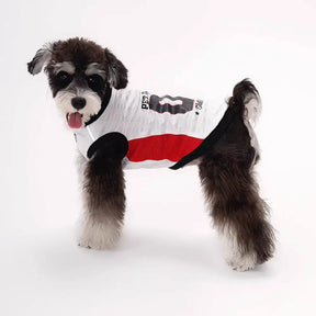 Gilet pour chien respirant à blocs de couleurs élégants