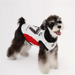 Gilet pour chien respirant à blocs de couleurs élégants