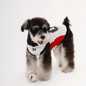 Gilet pour chien respirant à blocs de couleurs élégants