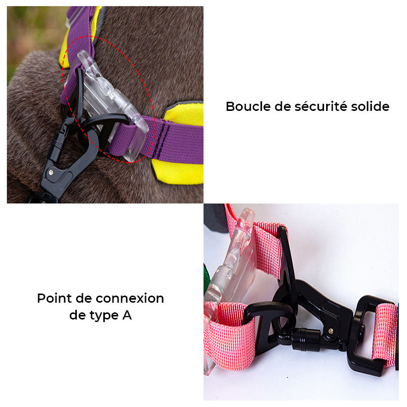 Collier pour chien élégant et confortable