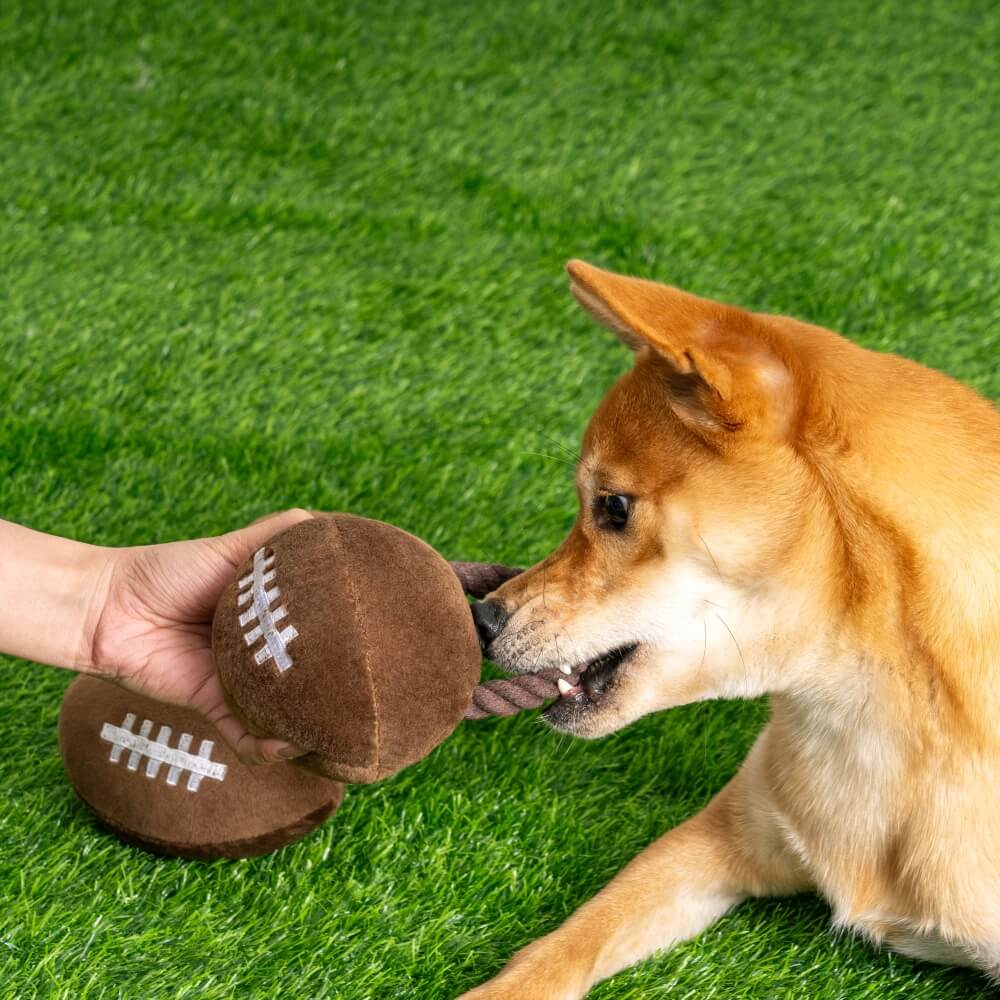 Jouet Interactif Sonore en Peluche Rugby pour Chien