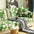 Housse de canapé super douce anti-griffures à motif floral