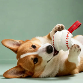 Jouet à mâcher interactif élastique pour chien - Dents et jeu