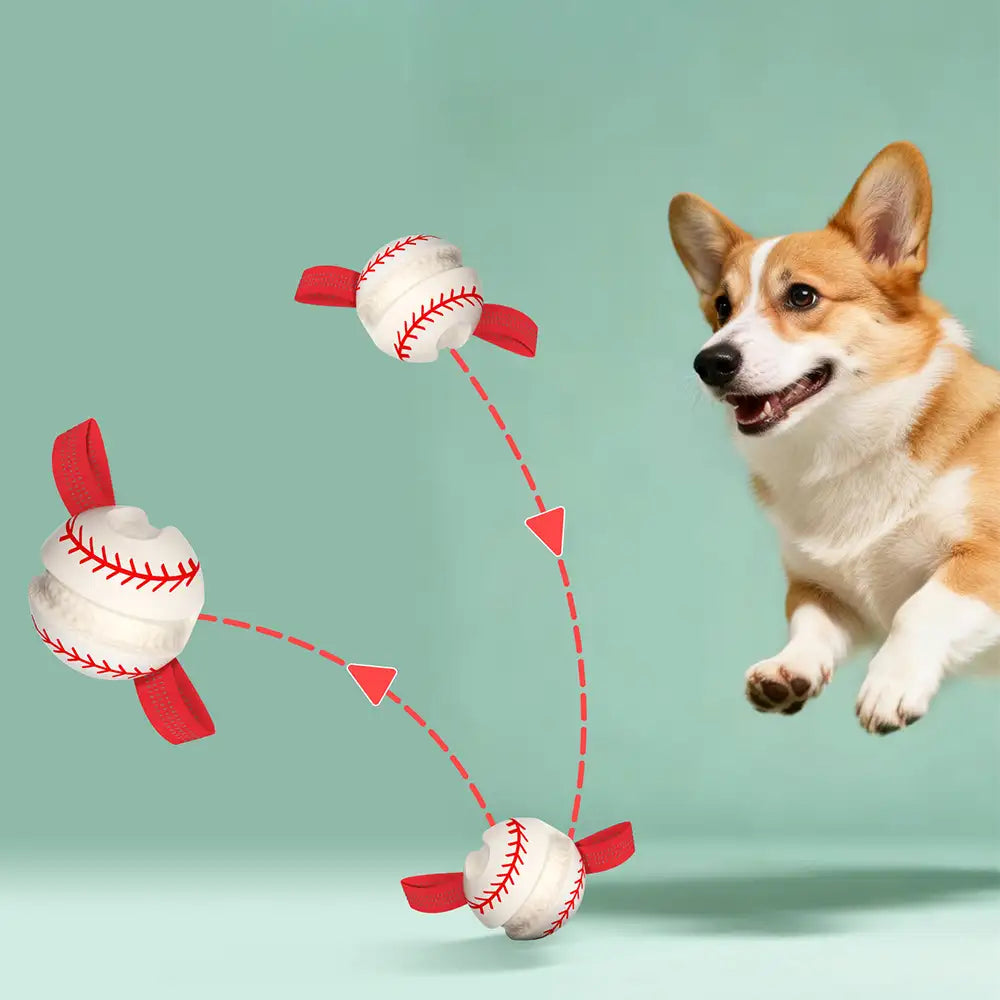 Jouet à mâcher interactif élastique pour chien - Dents et jeu