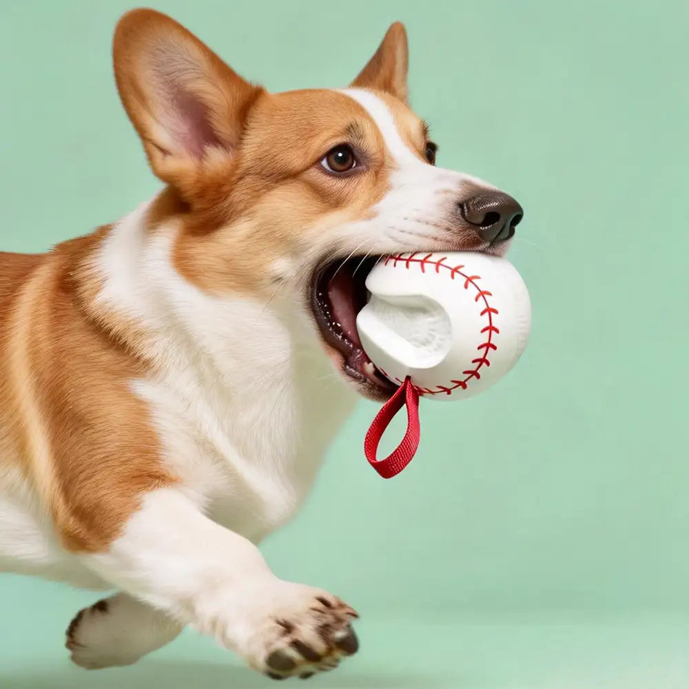 Jouet à mâcher interactif élastique pour chien - Dents et jeu