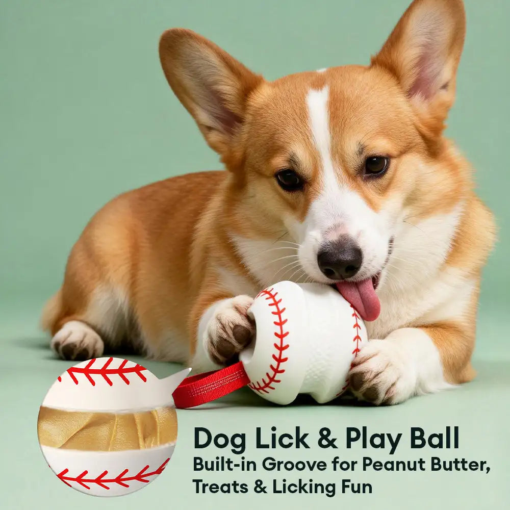 Jouet à mâcher interactif élastique pour chien - Dents et jeu