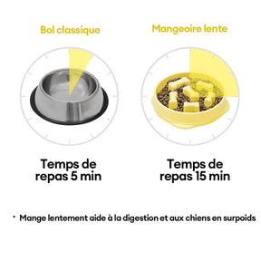 Bol Anti-Dérapant Lent pour Chiens Jaune Citron