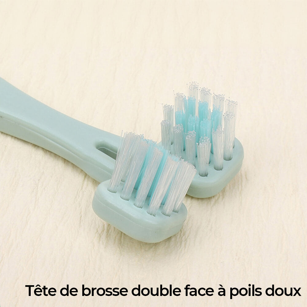 Kit de toilettage complet pour animaux All-in-One