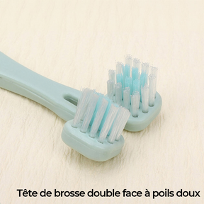 Kit de toilettage complet pour animaux All-in-One