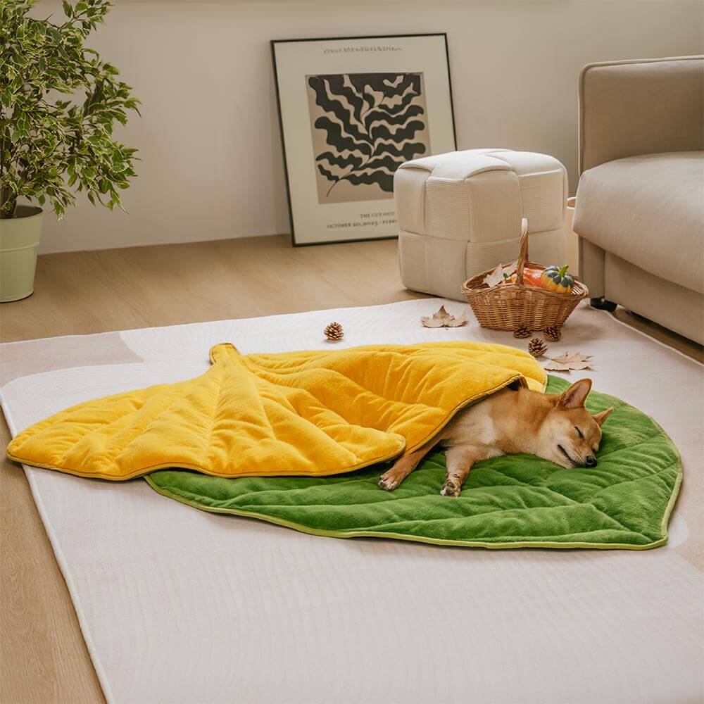 Tapis lavable en peluche en forme de feuille pour chien - The Leaf Collector