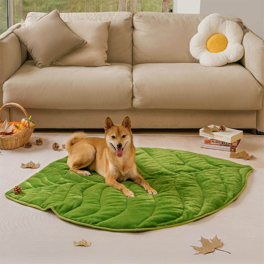 Tapis lavable en peluche en forme de feuille pour chien - The Leaf Collector