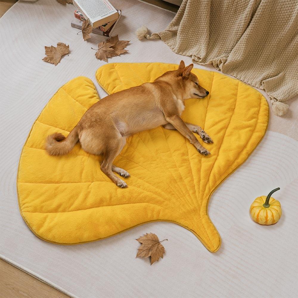 Tapis lavable en peluche en forme de feuille pour chien - The Leaf Collector