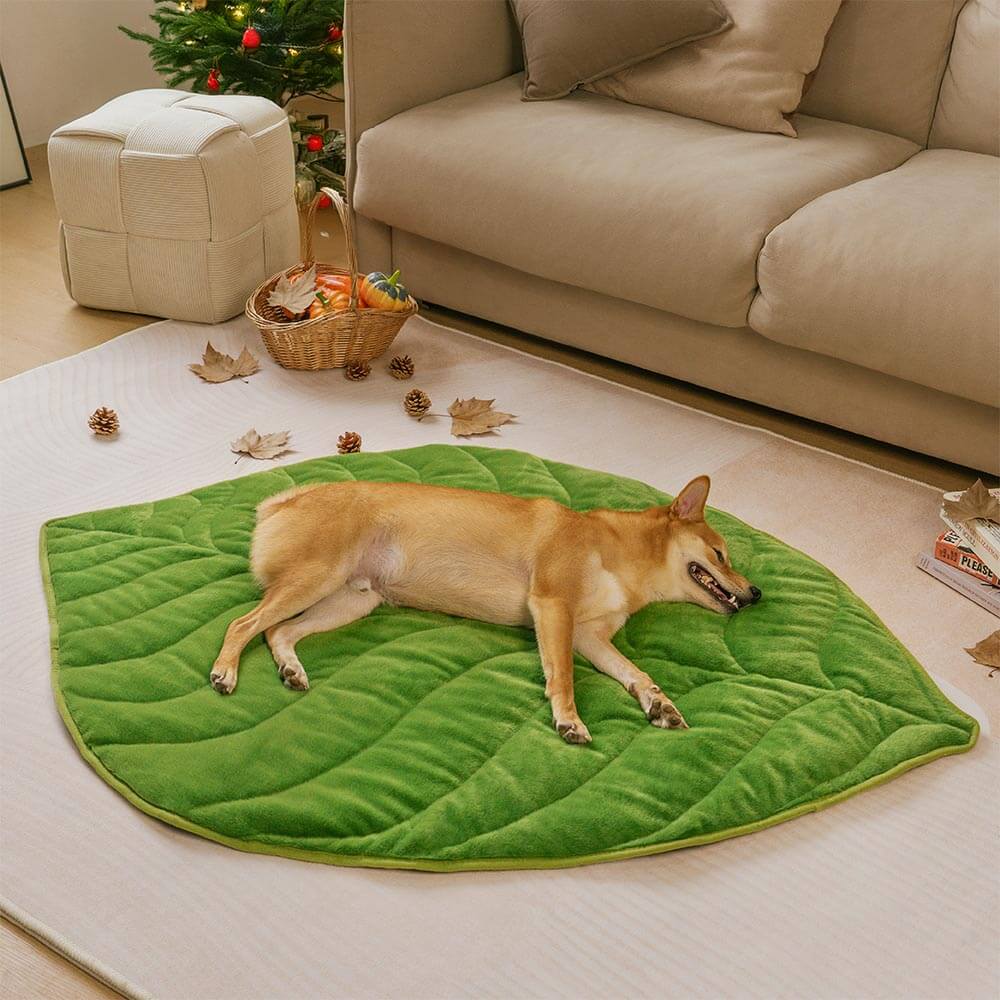 Tapis lavable en peluche en forme de feuille pour chien - The Leaf Collector