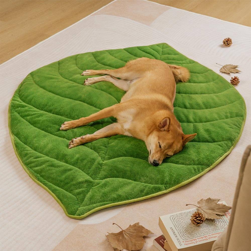 Tapis lavable en peluche en forme de feuille pour chien - The Leaf Collector