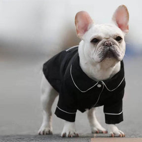 Pyjama fin et confortable anti-poils assorti pour chien et propriétaire